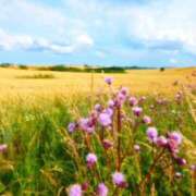 ヒメ日記 2025/09/11 22:04 投稿 そで 熟女の風俗最終章 本厚木店