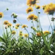 ヒメ日記 2025/09/22 22:54 投稿 そで 熟女の風俗最終章 本厚木店