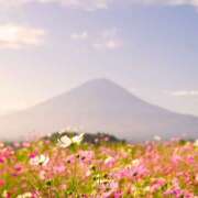 ヒメ日記 2025/09/24 17:46 投稿 そで 熟女の風俗最終章 本厚木店