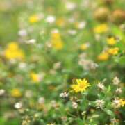 ヒメ日記 2025/09/24 18:38 投稿 そで 熟女の風俗最終章 本厚木店