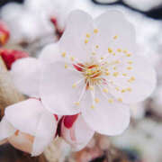 ヒメ日記 2025/09/29 15:51 投稿 そで 熟女の風俗最終章 本厚木店