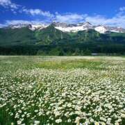 ヒメ日記 2025/10/08 23:17 投稿 そで 熟女の風俗最終章 本厚木店