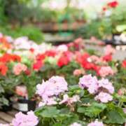 ヒメ日記 2025/10/10 23:32 投稿 そで 熟女の風俗最終章 本厚木店