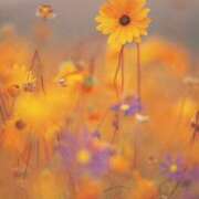 ヒメ日記 2025/10/15 18:06 投稿 そで 熟女の風俗最終章 本厚木店