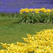 ヒメ日記 2025/10/22 23:11 投稿 そで 熟女の風俗最終章 本厚木店