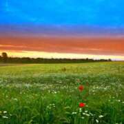 ヒメ日記 2025/10/29 15:26 投稿 そで 熟女の風俗最終章 本厚木店