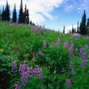 ヒメ日記 2025/10/30 01:29 投稿 そで 熟女の風俗最終章 本厚木店