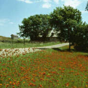 ヒメ日記 2025/11/11 01:51 投稿 そで 熟女の風俗最終章 本厚木店