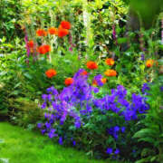 そで お礼 熟女の風俗最終章 本厚木店