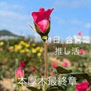 ヒメ日記 2026/01/11 23:11 投稿 そで 熟女の風俗最終章 本厚木店