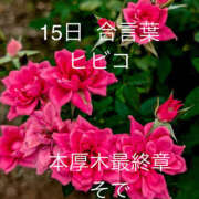 ヒメ日記 2026/01/15 22:46 投稿 そで 熟女の風俗最終章 本厚木店