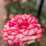 ヒメ日記 2026/01/16 03:01 投稿 そで 熟女の風俗最終章 本厚木店