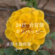 ヒメ日記 2026/01/24 21:41 投稿 そで 熟女の風俗最終章 本厚木店