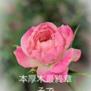 ヒメ日記 2026/01/25 04:01 投稿 そで 熟女の風俗最終章 本厚木店