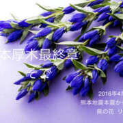 ヒメ日記 2026/04/16 15:51 投稿 そで 熟女の風俗最終章 本厚木店