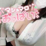 ヒメ日記 2026/02/03 20:59 投稿 なごみ(ヌレヌレ素股) ぽっちゃり女神 あぷろでぃーて