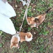 ヒメ日記 2025/08/25 01:17 投稿 りお 千葉人妻花壇