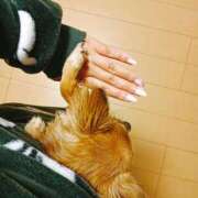 りお 感謝です🙇❤️ 千葉人妻花壇