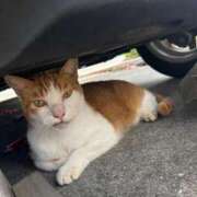 ヒメ日記 2025/08/27 12:39 投稿 れみ 沖縄素人図鑑