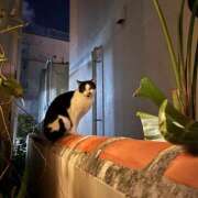 ヒメ日記 2025/11/11 08:33 投稿 れみ 沖縄素人図鑑