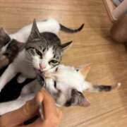 ヒメ日記 2026/02/15 22:21 投稿 れみ 沖縄素人図鑑