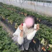 ヒメ日記 2026/03/22 16:19 投稿 れみ 沖縄素人図鑑