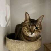 ヒメ日記 2026/04/24 23:03 投稿 れみ 沖縄素人図鑑