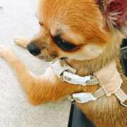 絵里香（えりか） おはようございます😊 東金人妻花壇