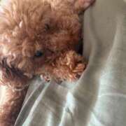 たとえ 涼しくなってきたね〜 ドMバスターズ 京都店