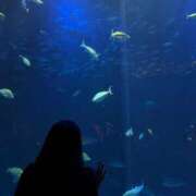 ヒメ日記 2025/09/16 02:46 投稿 ユキ COCOMERO（ココメロ）