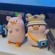 ヒメ日記 2025/10/27 06:01 投稿 ユキ COCOMERO（ココメロ）