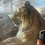 ヒメ日記 2025/11/04 05:01 投稿 ユキ COCOMERO（ココメロ）