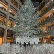 ヒメ日記 2025/12/15 05:01 投稿 ユキ COCOMERO（ココメロ）