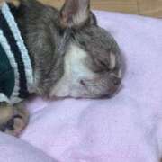 ヒメ日記 2026/01/02 22:01 投稿 ユキ COCOMERO（ココメロ）