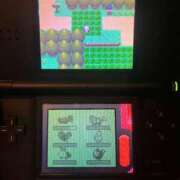 ヒメ日記 2026/01/26 13:01 投稿 ユキ COCOMERO（ココメロ）