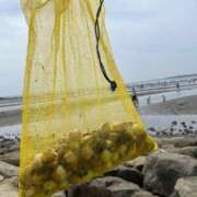 ヒメ日記 2026/04/18 23:46 投稿 ユキ COCOMERO（ココメロ）