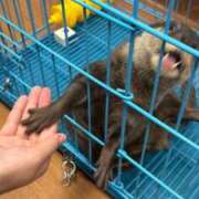 ヒメ日記 2026/06/22 06:16 投稿 ユキ COCOMERO（ココメロ）
