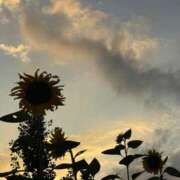 ヒメ日記 2025/10/12 09:00 投稿 なほ ぷるるん小町 京橋店