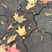 ヒメ日記 2025/10/24 08:34 投稿 なほ ぷるるん小町 京橋店