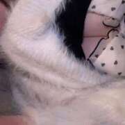 ヒメ日記 2025/08/15 19:13 投稿 さらさ♡極上SPコース♡ PANTHER（パンサー）