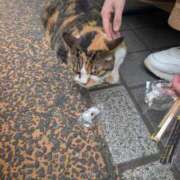 るう なんかさ 奥様特急　池袋・大塚店