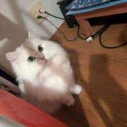 ヒメ日記 2025/09/25 02:38 投稿 るう 奥様特急　上野・鶯谷店