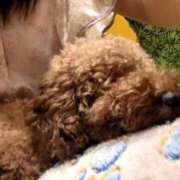 ヒメ日記 2025/10/07 23:05 投稿 るう 奥様特急　上野・鶯谷店