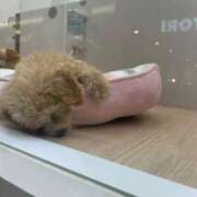 ヒメ日記 2025/08/18 15:02 投稿 ゆうな【完全未経験地元美女】 Mode（モード）◆理想の彼女◆