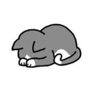 小町 あんず すみません こあくまな熟女たち 千葉店（KOAKUMAグループ）