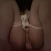 ヒメ日記 2025/09/24 21:03 投稿 白石 しの La elf（ラ・エルフ）