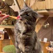 ヒメ日記 2025/08/20 23:30 投稿 岡本加奈 ゴールドクイーン