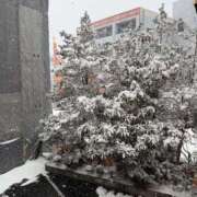 ヒメ日記 2026/02/08 15:20 投稿 岡本加奈 ゴールドクイーン