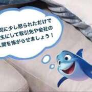 ヒメ日記 2026/04/06 02:20 投稿 岡本加奈 ゴールドクイーン(雄琴)