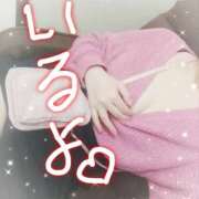 ヒメ日記 2025/10/14 13:00 投稿 モモ 厚木オイルリンパ性感　厚木メンズエステm